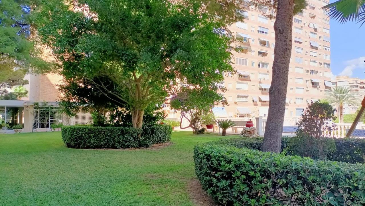 Holidays At My Spanish Grandma Alicante Exterior photo